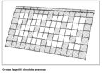 Lapetiilen kiinnike Easy Clip 48x48 mm - Image 3